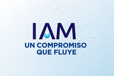 Integrated Reports and Annual Reports